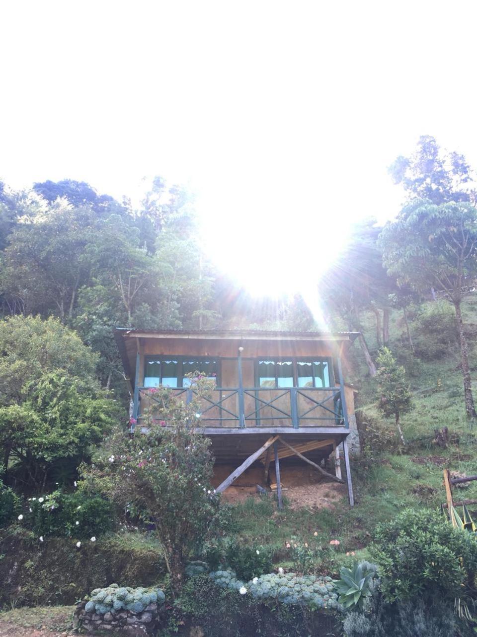 Las Cataratas Lodge San Gerardo de Dota Exterior foto